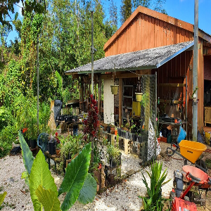 Group Profile Picture